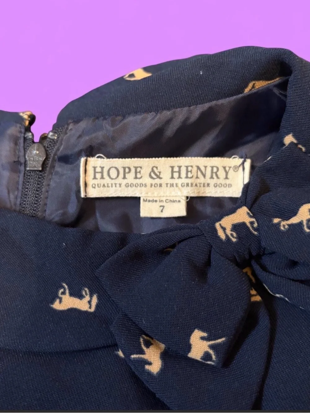 Hope & Henry Navy Fit-and-Flare Dress with Gold Horse Print